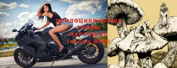 тгк Михайловск