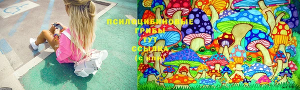тгк Михайловск
