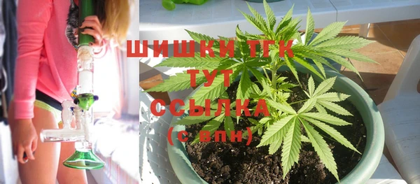 стаф Михайлов