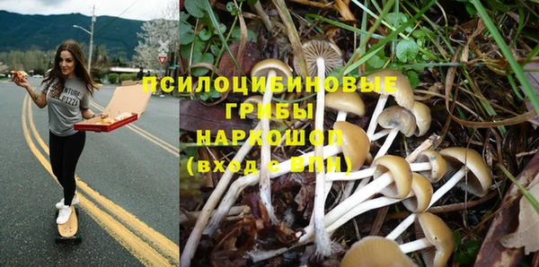 тгк Михайловск