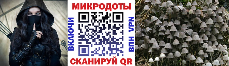 Купить закладки  Первомайск  Галлюциногенные грибы прущие грибы 